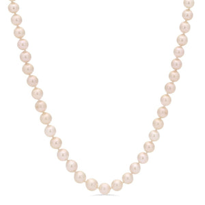 Colar em Ouro Branco 14 k com Pérolas Brancas Akoya