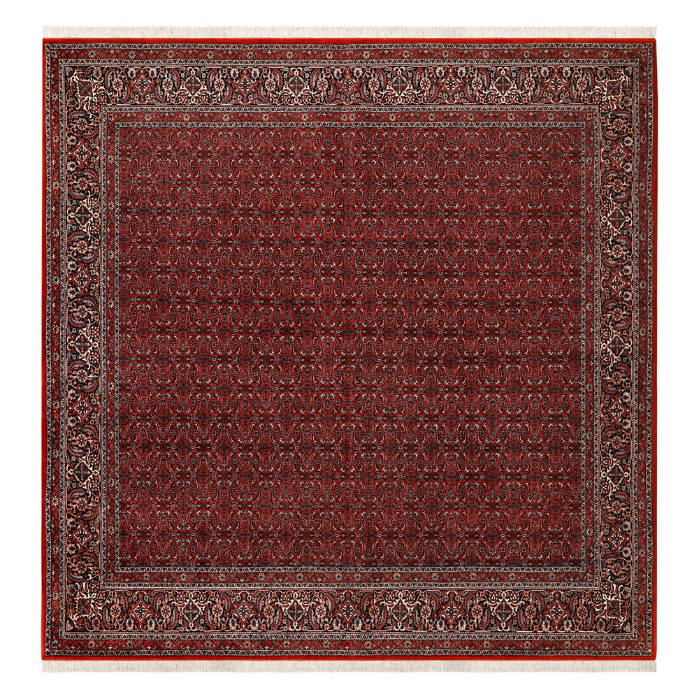BIDJAR 3,08 X 2,95