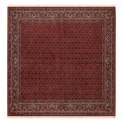 BIDJAR 3,08 X 2,95