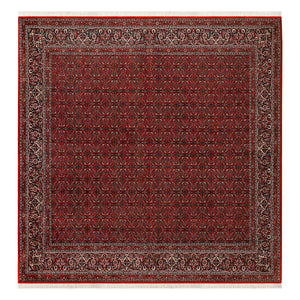 BIDJAR 3,08 X 2,95