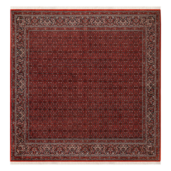 BIDJAR 3,08 X 2,95