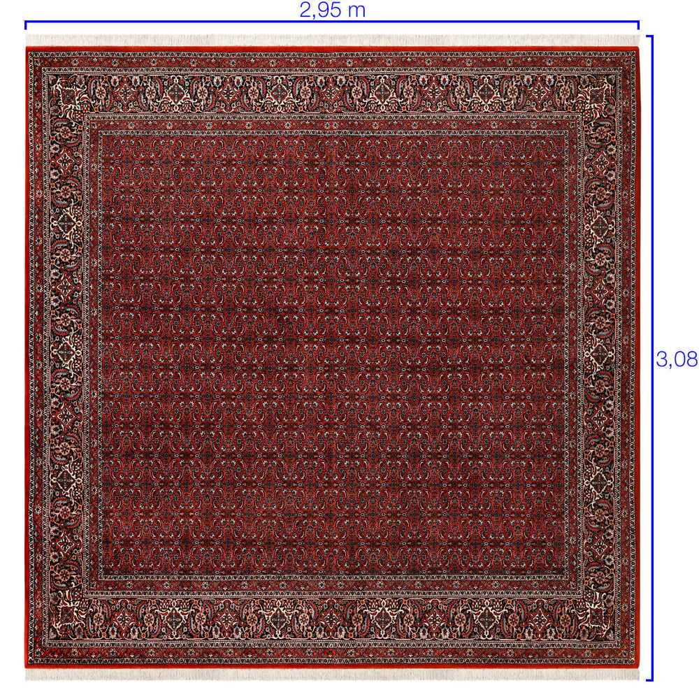 BIDJAR 3,08 X 2,95