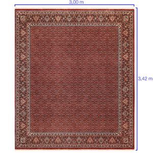 Tapete Iraniano Bidjar 3,00 X 3,42