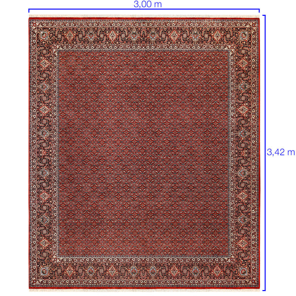 Tapete Iraniano Bidjar 3,00 X 3,42
