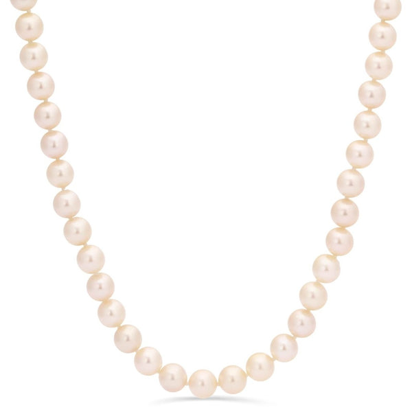 Colar em Ouro Branco de Pérolas Akoya Brancas