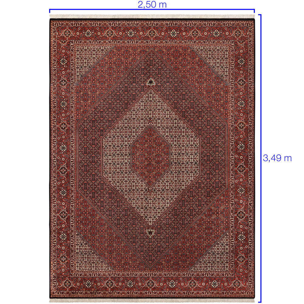 Tapete Iraniano Bidjar 3,49 x 2,50