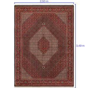 Tapete Iraniano Bidjar 3,49 x 2,50