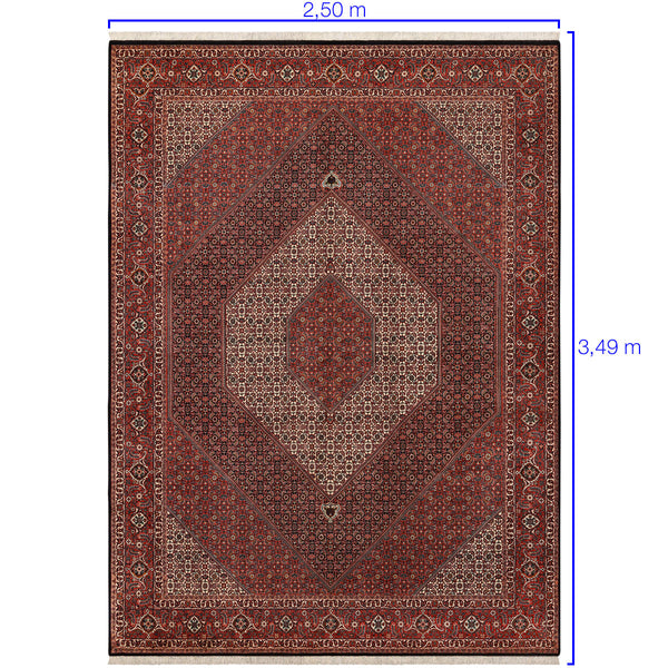 Tapete Iraniano Bidjar 3,49 x 2,50